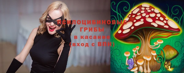 прущий лед Аркадак