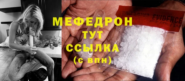 стафф Арсеньев