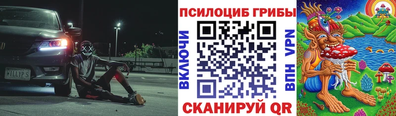 наркота  Белебей  Галлюциногенные грибы Psilocybe 